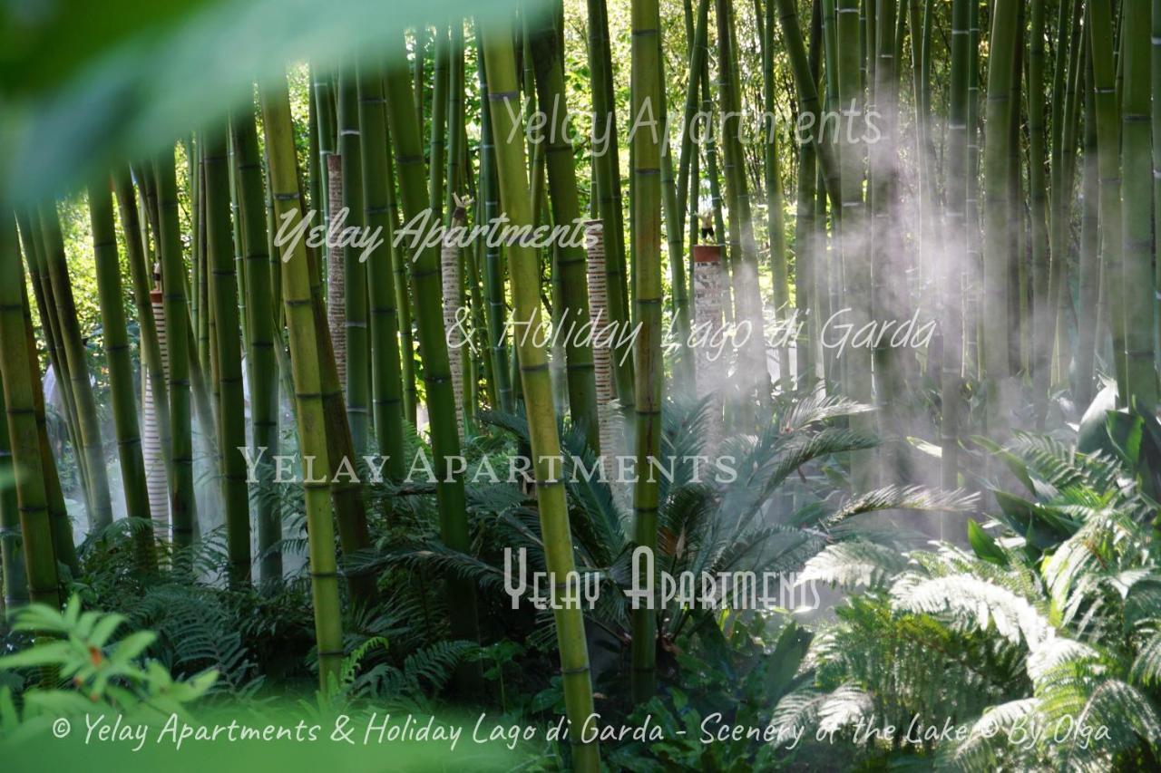 Yelay Apartments&Holiday Lago di Garda Raffa Esterno foto