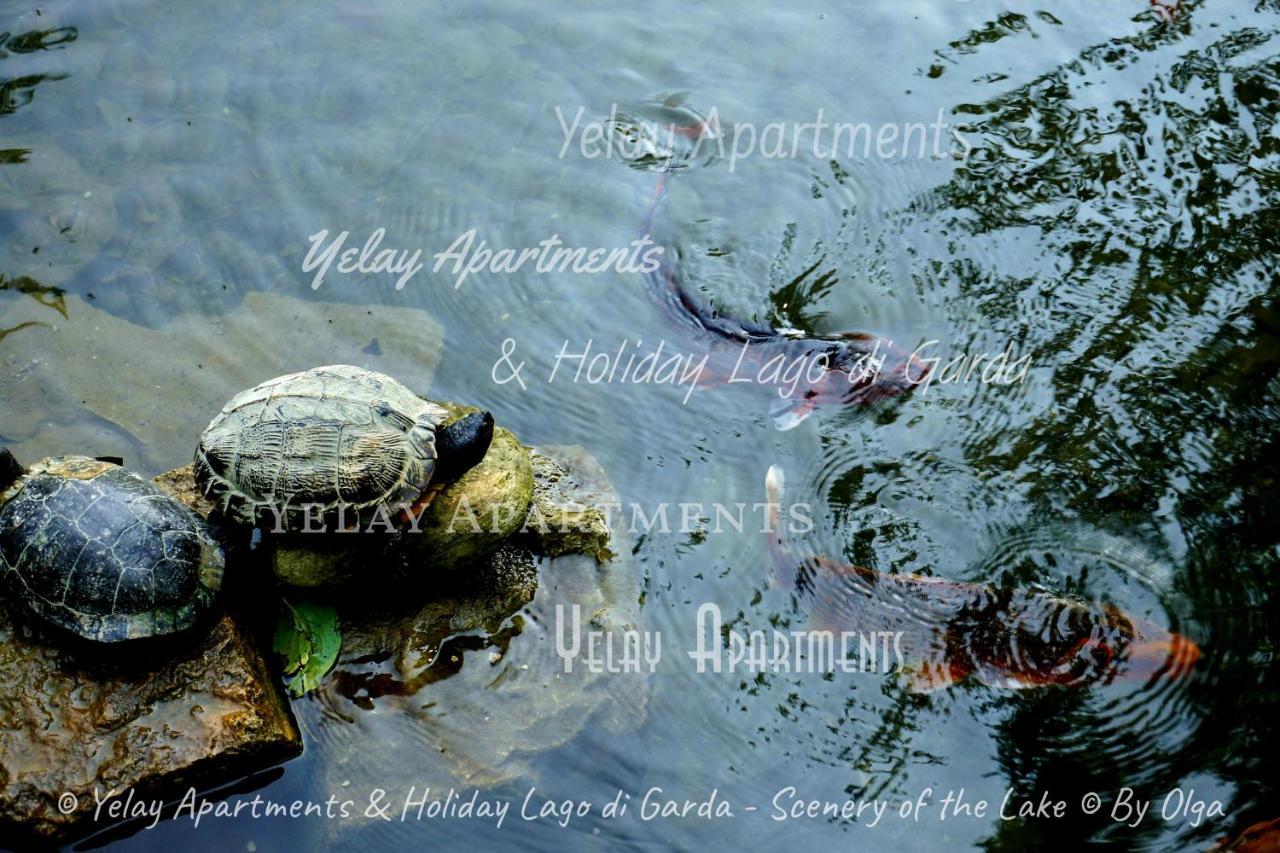 Yelay Apartments&Holiday Lago di Garda Raffa Esterno foto